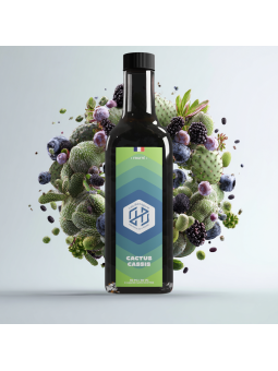 Lab Hexagone - Cactus Cassis