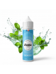 Menthe  Antartick 70 ML
