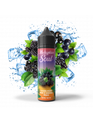Cassis Mûre Baies d'Aronia Frais 70 ML
