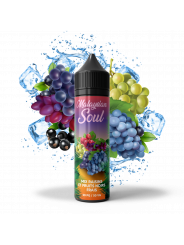 Mix Raisins Fruits Noirs Frais 70 ML