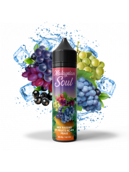 Mix Raisins Fruits Noirs Frais 70 ML