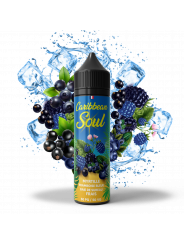 Framboise Bleue Myrtille Baies de Sureau Frais 70 ML