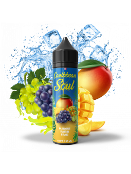 Mangue Raisin Frais 70 ML