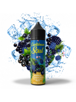 Framboise Bleue Myrtille Baies de Sureau Frais 120 ML